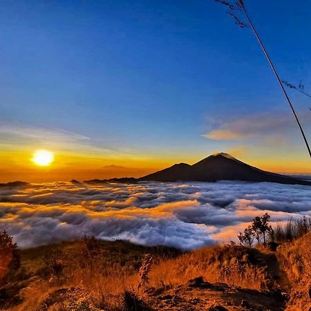 Manik Tirta Cabin'S Кинтамани Экстерьер фото